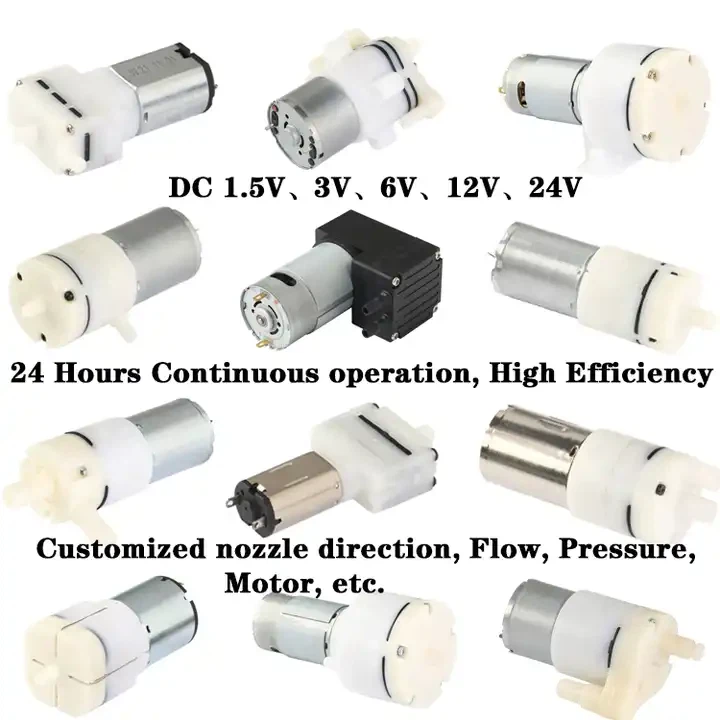 1700097623381 1700097623381